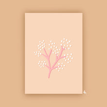 Afbeelding in Gallery-weergave laden, Notitieboekje