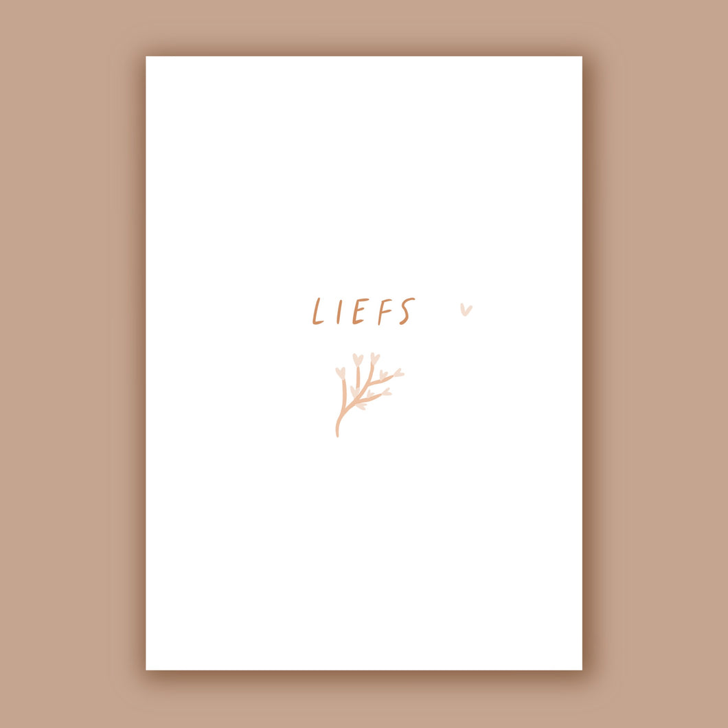 Liefs