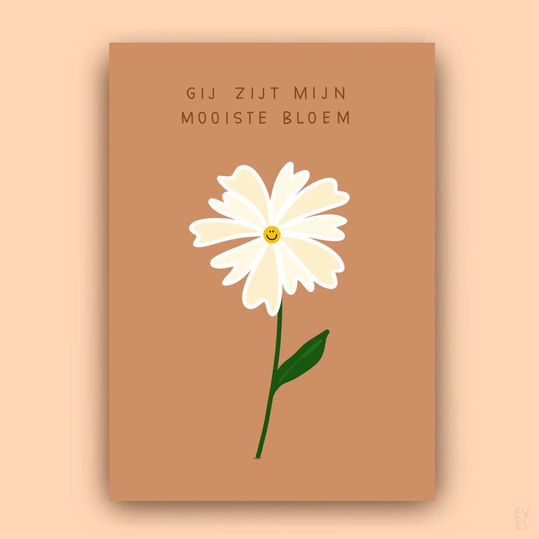 Mijn mooiste bloem 🌸